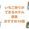いちご狩りができるホテル関東おすすめ10選！温泉も満喫の食べ放題宿