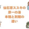仙石原ススキの原一の湯の本館と別館の違いを比較！どっちがいいか解説